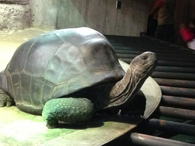 Photo 3 (1)