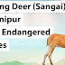 Sangai's Striding Lady heel : https://in.pinterest.com/ibomchak2