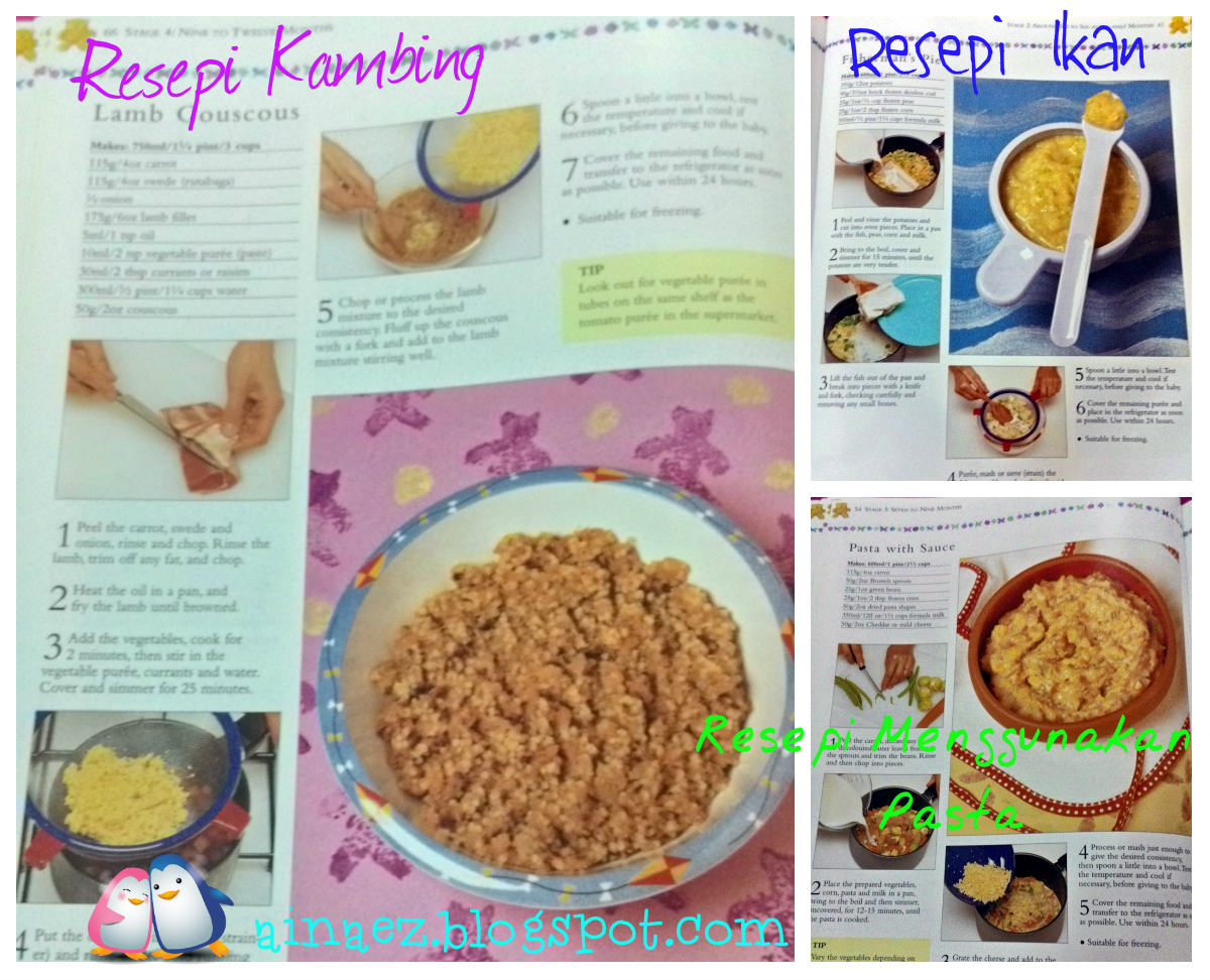 Review Buku Resepi Makanan Bayi 6 bulan Ke Atas - Eat 