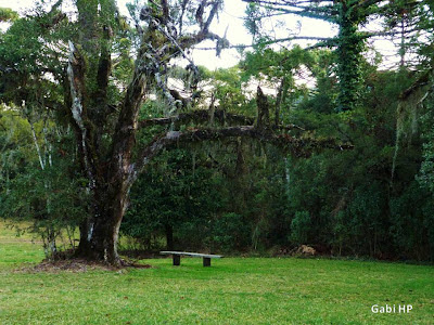 Parque e Cascata do Caracol de Canela