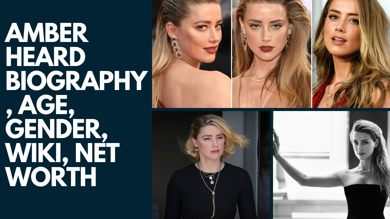 Amber Heard Biography, Age, Gender, Wiki, Net Worth