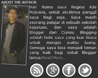 Widget About The Author Box