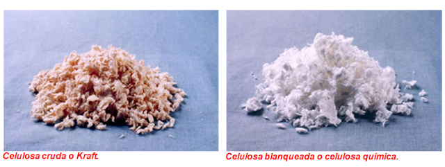 APLICACIONES Y DERIVADOS DE LA CELULOSA