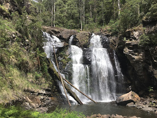 Fallen log over waterfall