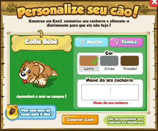 Personalize Pet