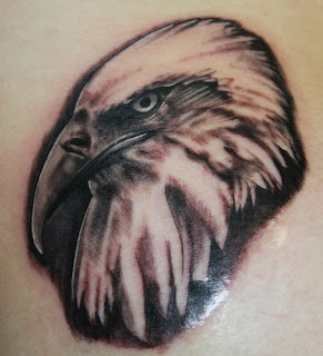 Eagle Head Tattoo Design Picture Gallery - Eagle Head Tattoo Ideas