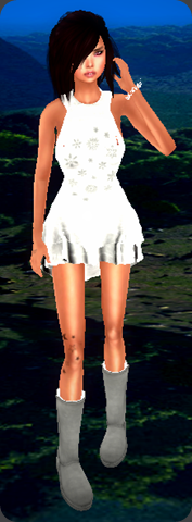 Snapshot_011