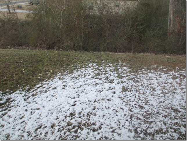 2013-02-17 061