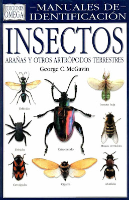 Resultado de imagen para manual de identificacion de insectos araÃ±as y otros artropodos terrestres pdf