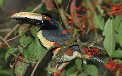 parque nacional darien panama