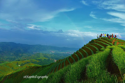 Wisata Alam Terasering Panyaweuyan Argapura Majalengka 