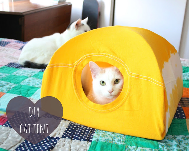 Membuat tenda untuk Kucing dari barang bekas