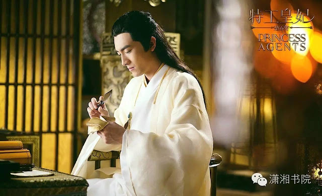 Lin Gengxin in 2017 Chinese time-travel drama Princess Agents