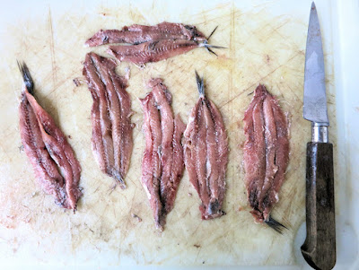 anchois, pissaladière