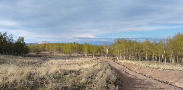 Carson National Forest, New Mexico