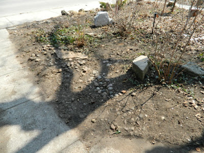 A Riverdale Front Yard Spring Cleanup After by Paul Jung Gardening Services--a Toronto Organic Gardening Company