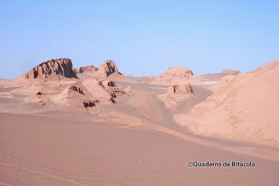 desert de Lut