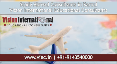 Vision International Educational Consultants