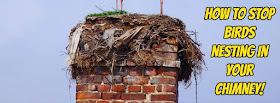 How to stop birds nesting in your chimney 02