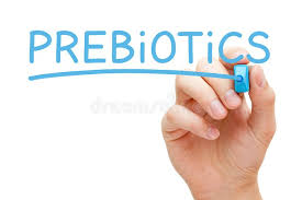 The Benefits of Incorporating More Prebiotics into Your Diet