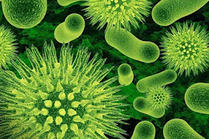 Topyekûn Savunma için Fedakârlık Yapan Bakteriler!
