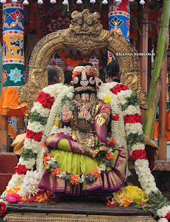 Sri Aandal,Aadipooram,Purappadu,Video, Divya Prabhandam,Sri Parthasarathy Perumal, Triplicane,Thiruvallikeni,Utsavam,