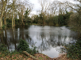 Pond on Hayes Common, 9 February 2014.