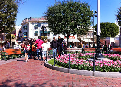 Disneyland Mickey Mouse Town Square meet character