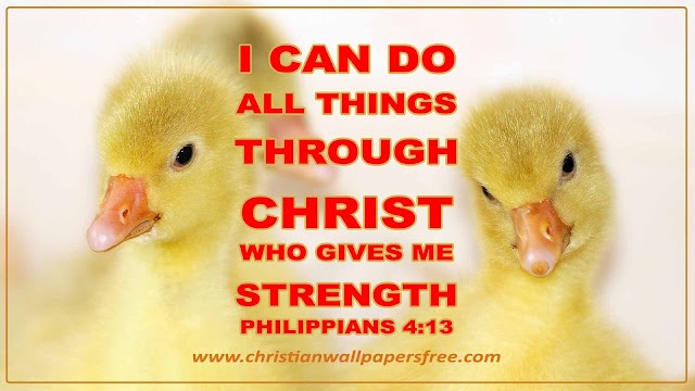 I CAN DO ALL THINGS THROUGH CHRIST WHO GIVES ME STRENGTH PHILIPPIANS 4:13