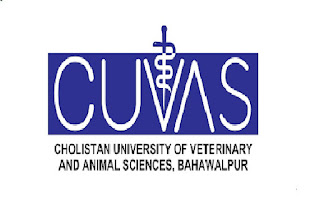 Latest Cholistan University of Veterinary and Animal Sciences CUVAS Education Posts Bahawalpur 2022