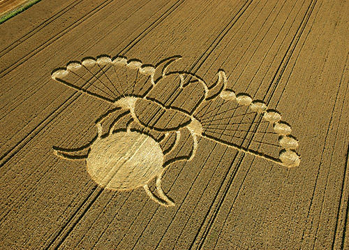 Aliens And Ufo