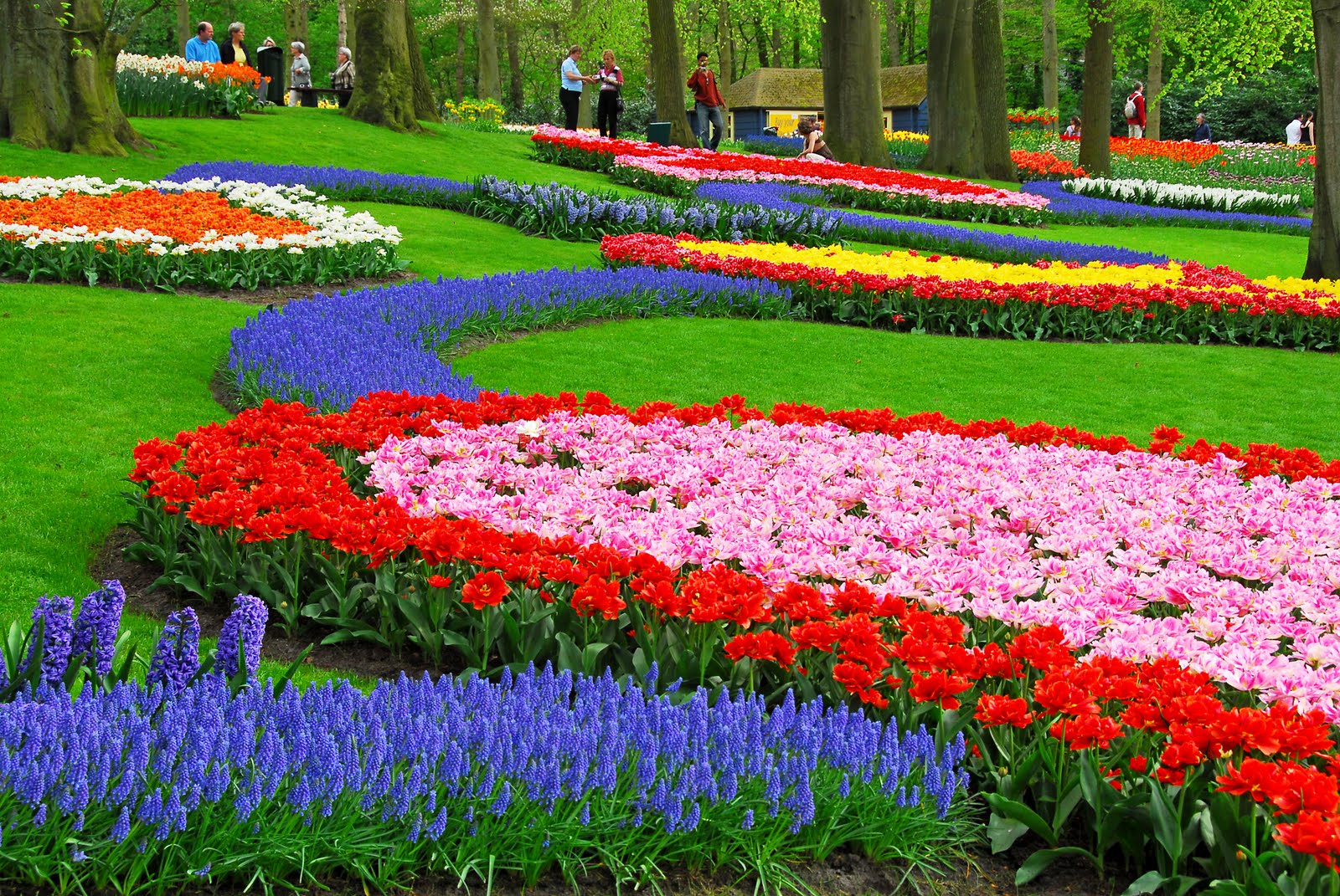 This flower garden is the