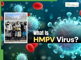 HMPV