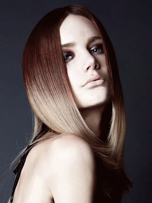 2013 Hair Color Trends