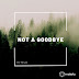 Petruk - Not a Goodbye (Single) [iTunes Plus AAC M4A]