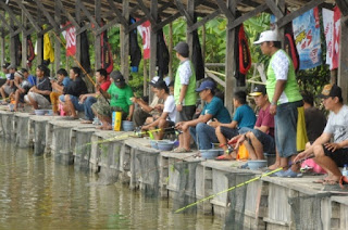 Umpan Ikan Mas Siang Hari