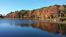 fall color along the north pond at DelCarte, Oct 2015