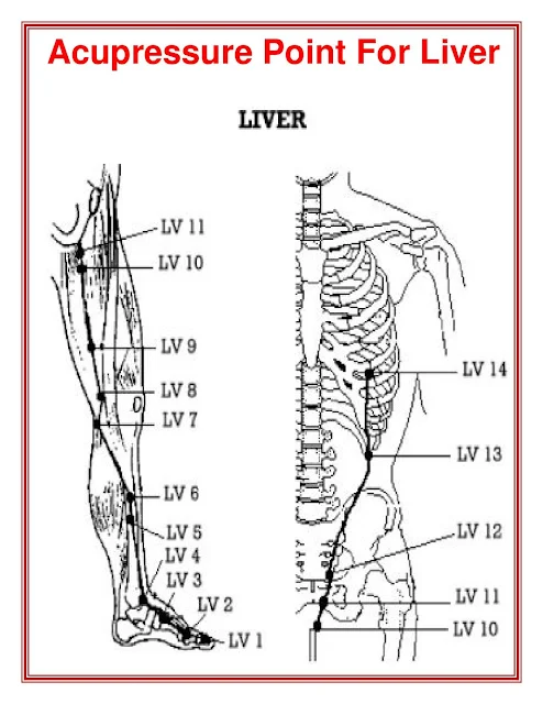 यकृत (लिवर) के लिए एक्यूप्रेशर बिंदु (Acupressure Points For Liver)