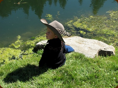 A Little Cowboy