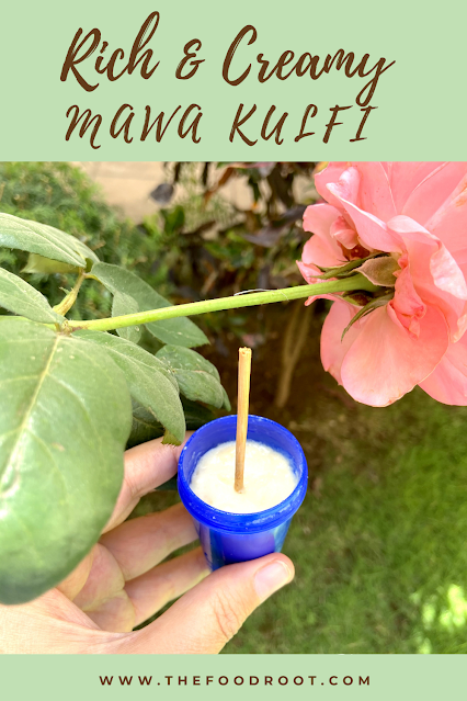 3 Ingredient Mawa Kulfi | How to make Khoya Kulfi