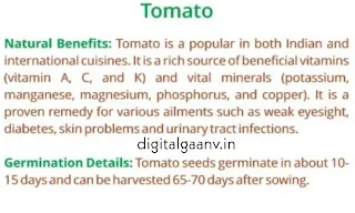 kale tamatar ki kheti