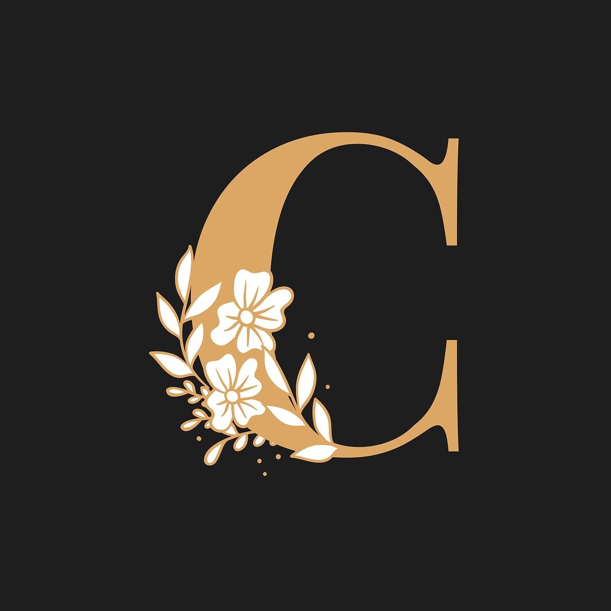 C অক্ষরের ছবি | C পিকচার | নামের অক্ষরের ছবি C