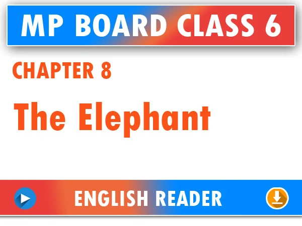 MP Board Class 6 English Reader Chapter 8 The Elephant Question Answers