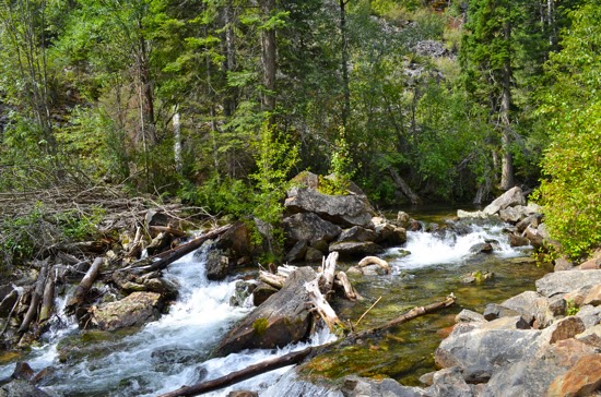 bass-creek-trail-montana