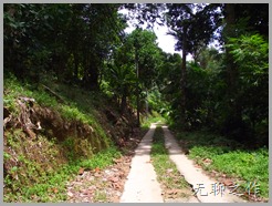 DSCF0518