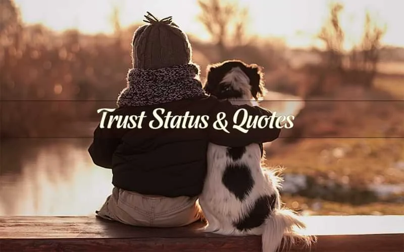 Trust Quotes,Status about trust,Quotes about trust,Trust Status,status and quotes,