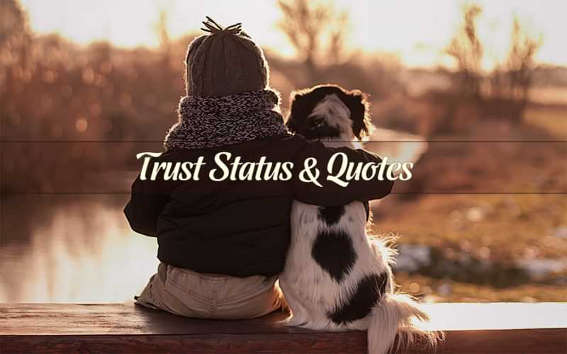 30+ [Best] Trust Status & Quotes