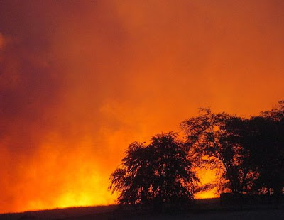 forest fire in USA