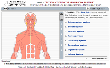 Medicine Decoded Collection Of 17 Essential Anatomy Websites4u