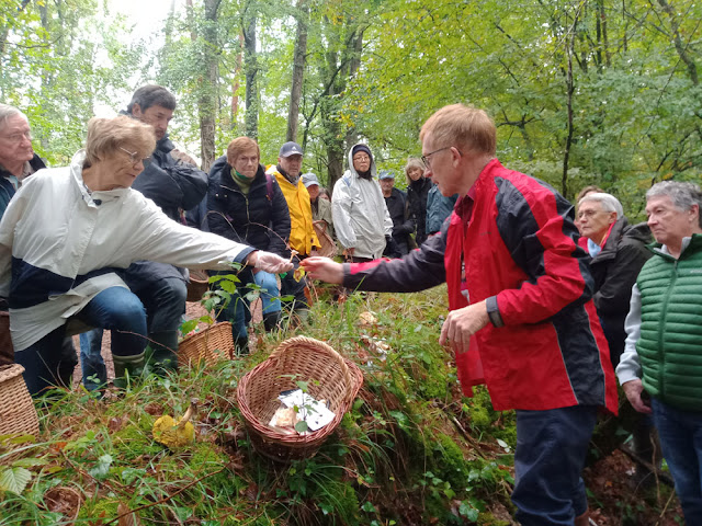 Expert mycologist identifying mushrooms for the public, Indre et Loire, France. Photo by Loire Valley Time Travel.